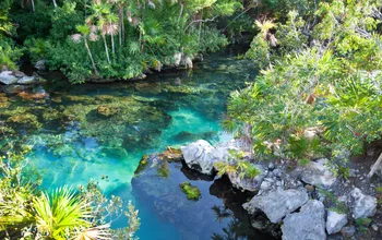 Cancun’s Cenotes Register Record-High Contamination Levels