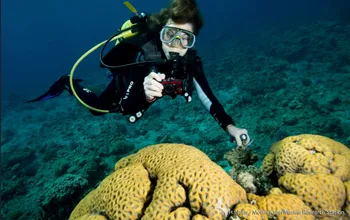 Explora Journeys Chooses Oceanographer Dr. Sylvia Earle as New Godmother for EXPLORA I