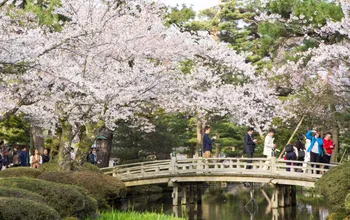 Goway Secures Exclusive Spots for 2023 Cherry Blossom Season in Japan