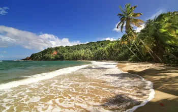 Uncovering the Hidden Beaches of the Caribbean