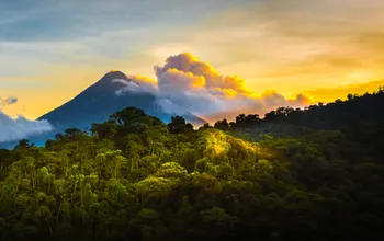 Can't-Miss Nature Experiences in Costa Rica