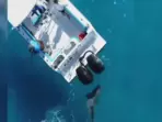 Drone-captured shark showdown: Bull shark shakes Florida fishing boat like an earthquake!