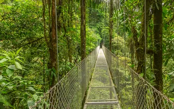 How Costa Rica is Leading the Way in Sustainable Tourism