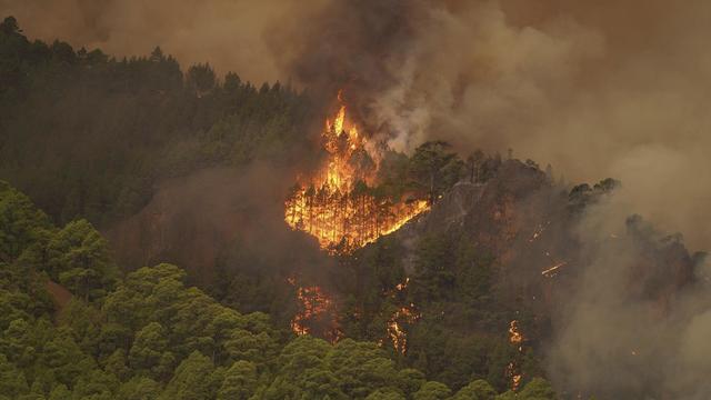 Firefighters battle heat and smoke to control major wildfire in Spain's tourist island of Tenerife