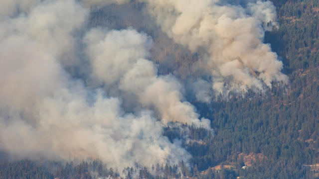 About 30,000 people ordered to evacuate as wildfires rage in Canada's British Columbia