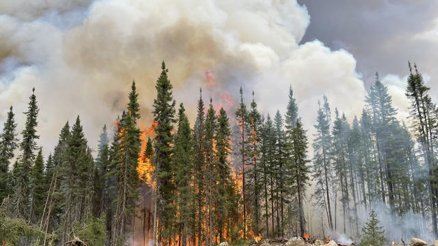 Extreme fire weather fueled by climate change played significant role in Canada's wildfires, new report says