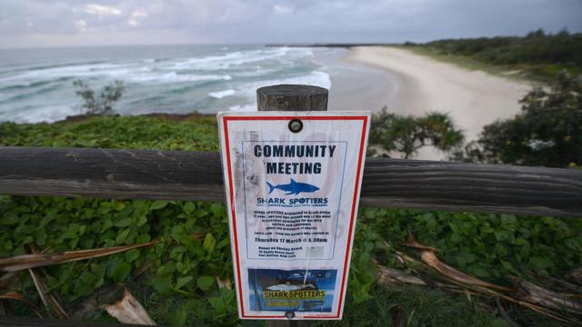 Man attacked by shark at popular Australian surf spot, rushed to hospital