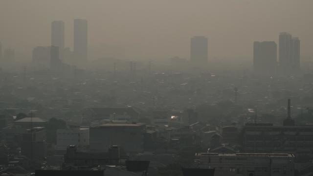 Dirty air is biggest external threat to human health, worse than tobacco or alcohol, major study finds