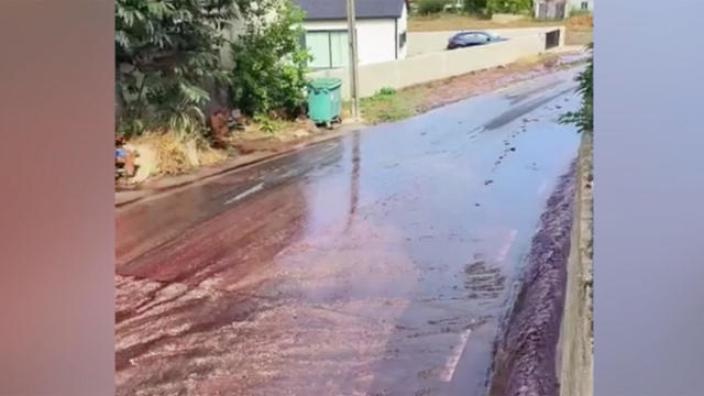 River of red wine flows through Portuguese village after storage units burst