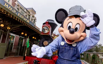 Black Bear Wanders into Walt Disney World, Prompting Temporary Closure of Magic Kingdom