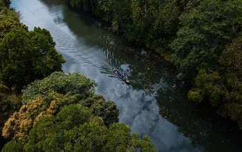 Panama Separates Itself as a Sustainable Sanctuary