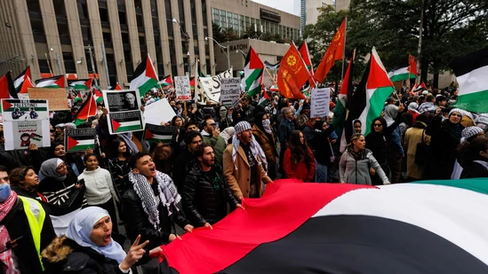 Air Canada grounds pilot for wearing pro-Palestinian colours in uniform, social media posts