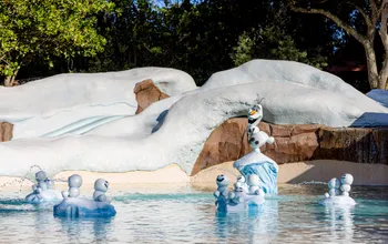 Reopening Date Announced for Disney’s Blizzard Beach Water Park