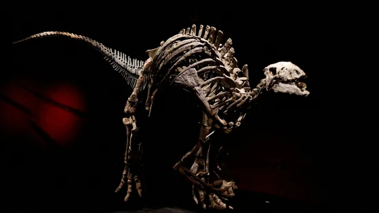 New study explains reason behind the ‘extinction’ of dinosaurs