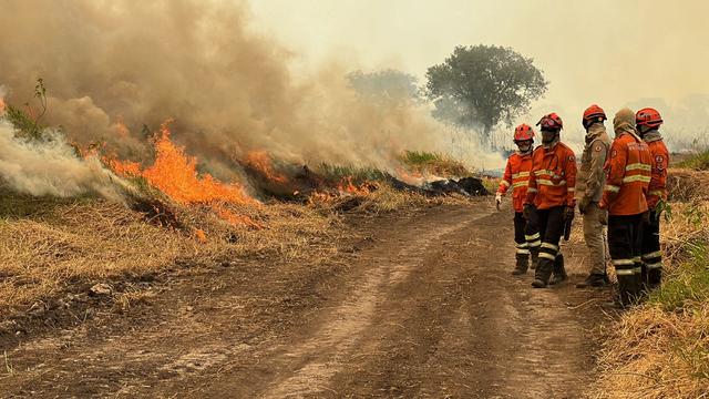 "Out of control" wildfires are ravaging Brazil's wildlife-rich Pantanal wetlands