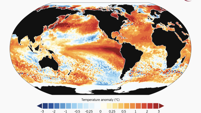 2023 was officially the hottest year ever. These charts show just how warm it was — and why it's so dangerous.