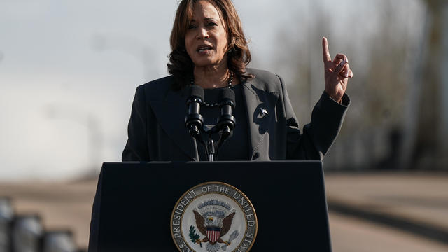 Vice President Kamala Harris calls for Israel-Hamas war immediate cease-fire "given the immense scale of suffering" in Gaza