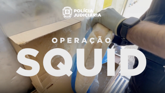 1.3 tons of cocaine found hidden in frozen fish in Portugal: "Operation Squid"