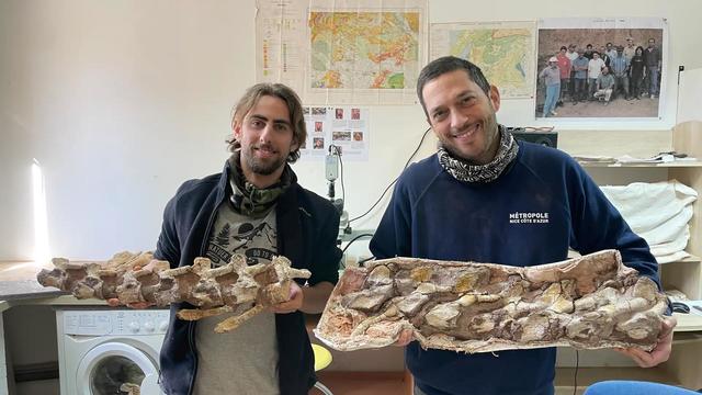 Man walking his dog finds nearly intact dinosaur skeleton in France