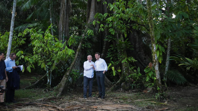 Brazil and Colombia see "remarkable" decrease in forest destruction after leadership changes, data show