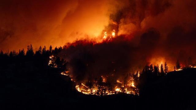 Canada at risk of another catastrophic wildfire season, government warns