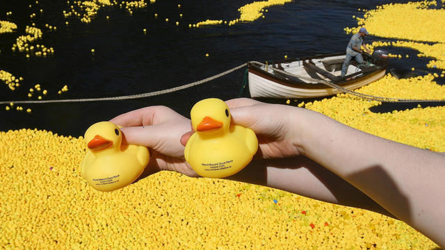 Rubber duck lost at sea for 18 years found 423 miles away from its origin in Dublin