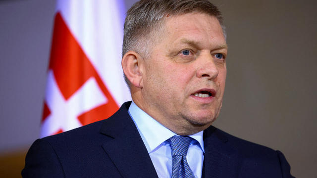 Man accused of shooting Slovak prime minister had "political motivation," minister says