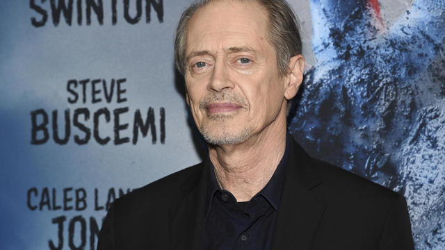 Suspect arrested in New York City attack on actor Steve Buscemi. Here's what we know.