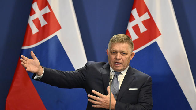 Slovak PM still in serious condition after assassination attempt as suspect appears in court