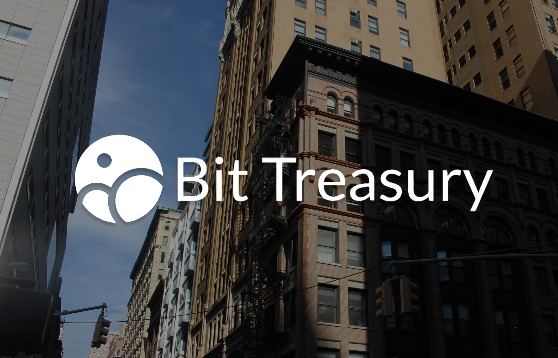 BIT TREASURY: The Role of Cryptocurrencies in Global Finance