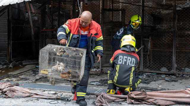 Fire kills hundreds of caged animals, including puppies and birds, at famous market in Thailand