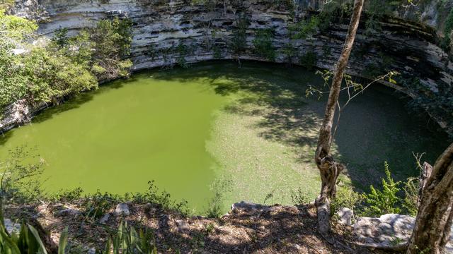 DNA reveals ritual of sacrificing boys, including twins, in ancient Mayan city, scientists say