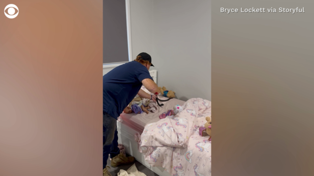 Venomous snake found lurking in child's bed, blending in with her stuffed animals