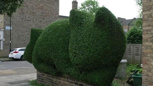 Why a London man named Bushe is on a mission to turn his neighbors' hedges into art