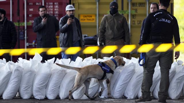 4 tons of cocaine found hidden in sugar in biggest bust in Paraguay's history