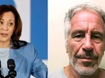 Fact Check: Is the Kamala Harris photo embracing ‘paedophile’ Jeffrey Epstein on beach real?