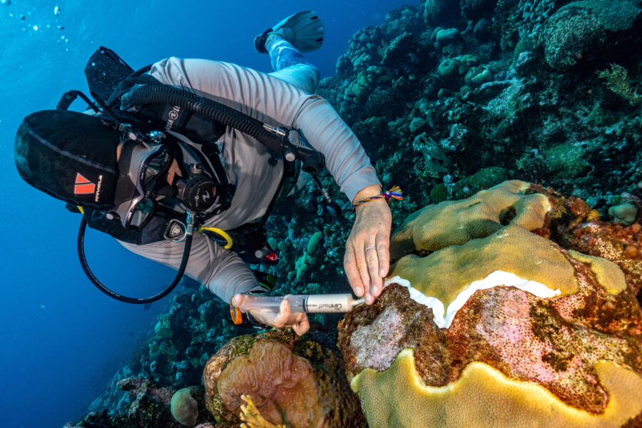 Biobanking Corals: One Woman’s Mission To Save Coral Genetics in Turks and Caicos To Rebuild Reefs of the Future