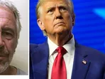 'Donald Trump groped me as Jeffrey Epstein watched,' ex model's big allegation