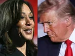 Donald Trump vs Kamala Harris: Who is winning US presidential election right now?